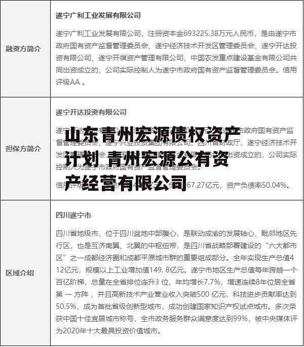 山东青州宏源债权资产计划 青州宏源公有资产经营有限公司