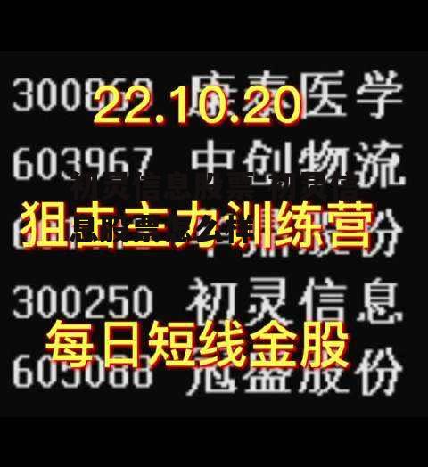 初灵信息股票 初灵信息股票怎么样