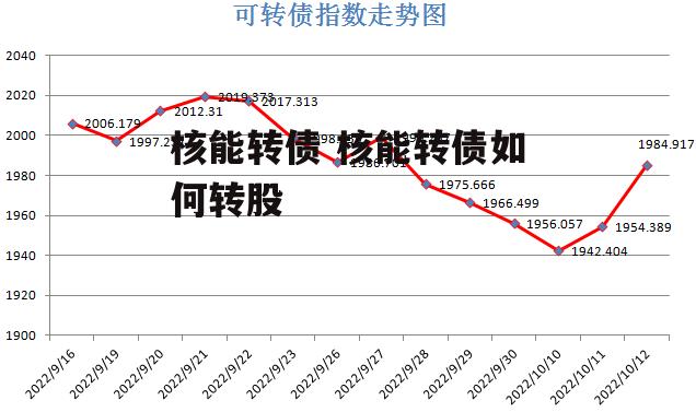 核能转债 核能转债如何转股