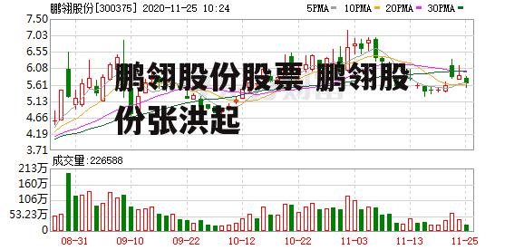 鹏翎股份股票 鹏翎股份张洪起