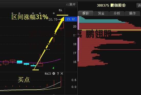 鹏翎股份股票 鹏翎股份张洪起