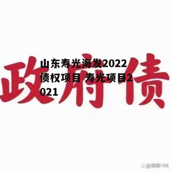 山东寿光海发2022债权项目 寿光项目2021