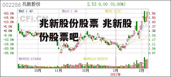 兆新股份股票 兆新股份股票吧