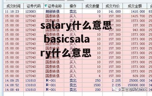 salary什么意思 basicsalary什么意思