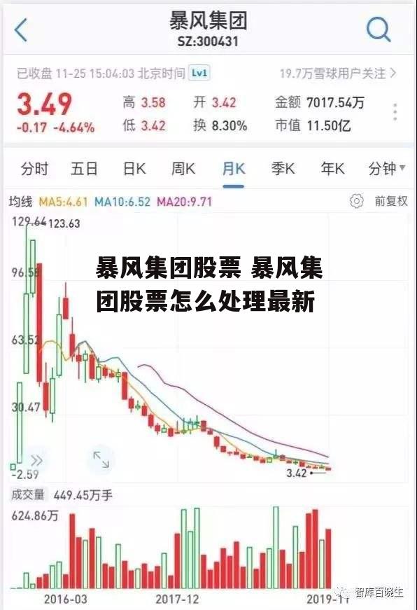 暴风集团股票 暴风集团股票怎么处理最新