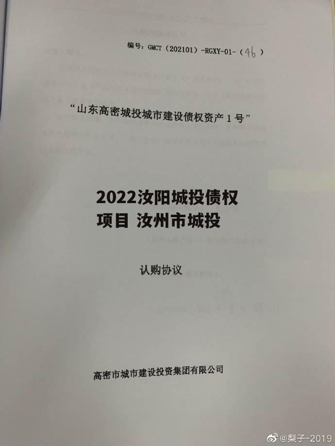 2022汝阳城投债权项目 汝州市城投