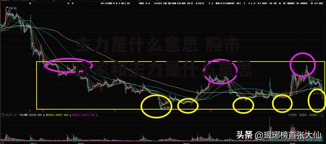 主力是什么意思 股市庄家和主力是什么意思