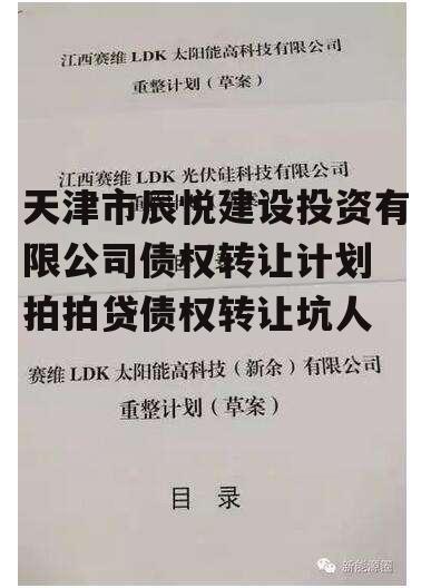 天津市辰悦建设投资有限公司债权转让计划 拍拍贷债权转让坑人