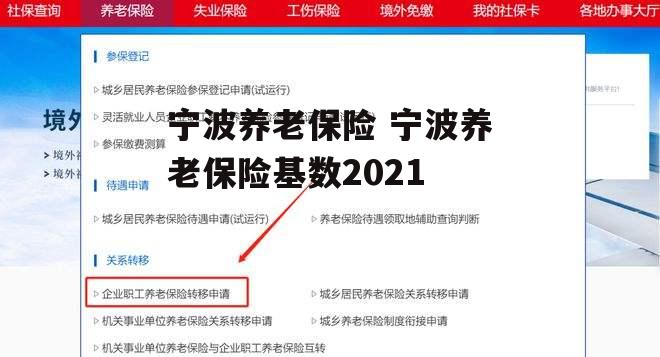 宁波养老保险 宁波养老保险基数2021