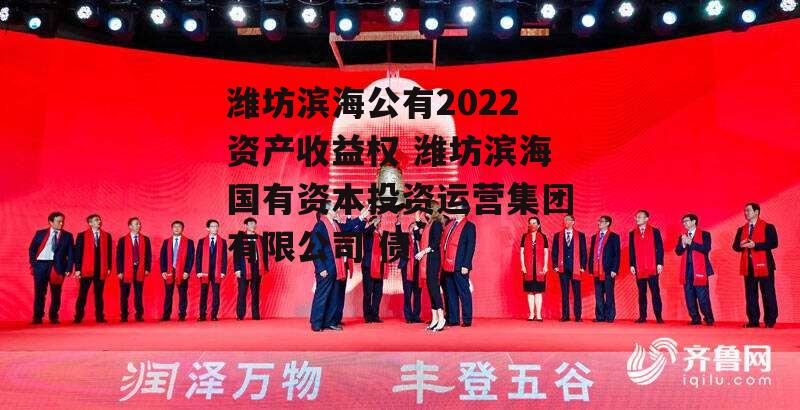 潍坊滨海公有2022资产收益权 潍坊滨海国有资本投资运营集团有限公司 债