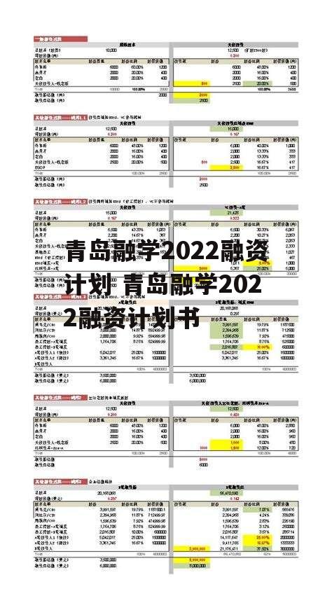 青岛融学2022融资计划 青岛融学2022融资计划书