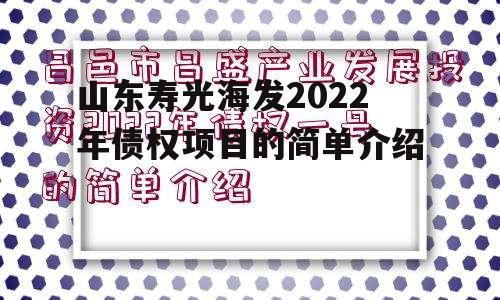 山东寿光海发2022年债权项目的简单介绍