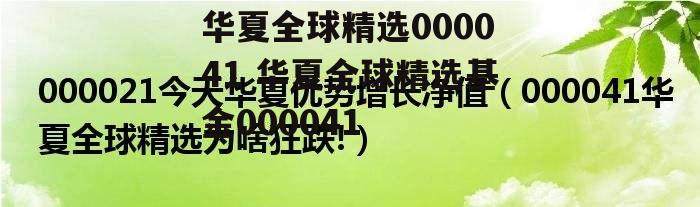 华夏全球精选000041 华夏全球精选基金000041