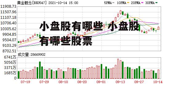 小盘股有哪些 小盘股有哪些股票