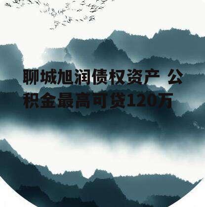 聊城旭润债权资产 公积金最高可贷120万