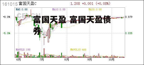 富国天盈 富国天盈债券