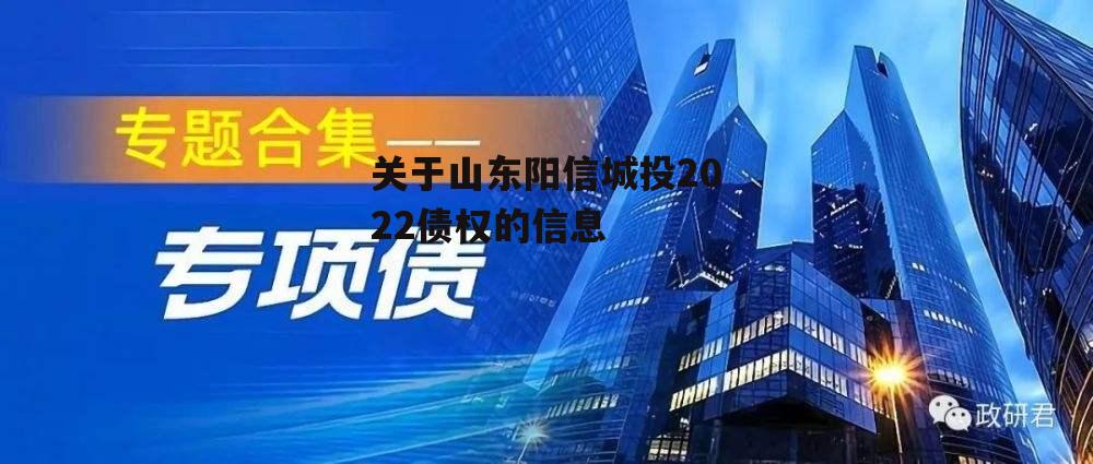 关于山东阳信城投2022债权的信息