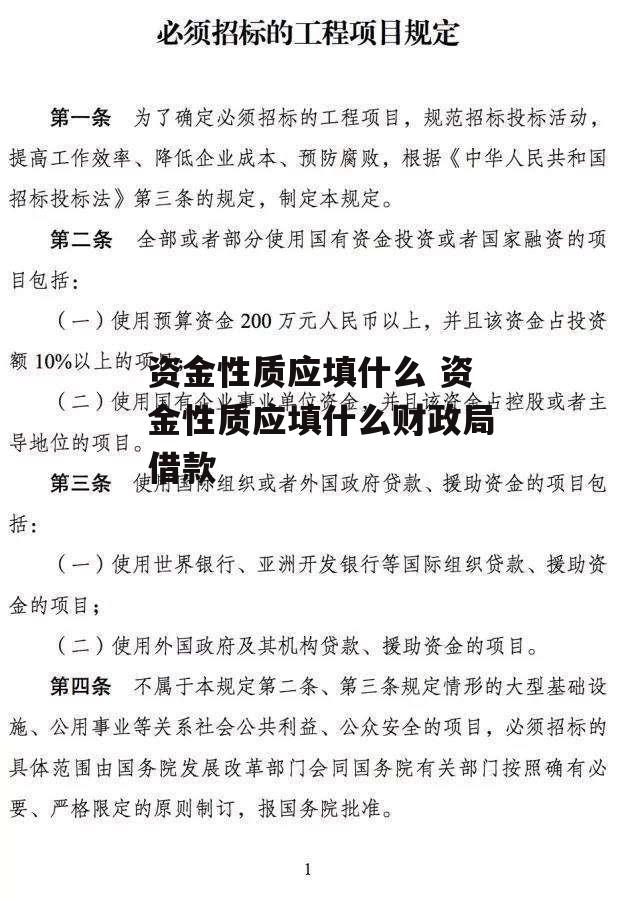 资金性质应填什么 资金性质应填什么财政局借款