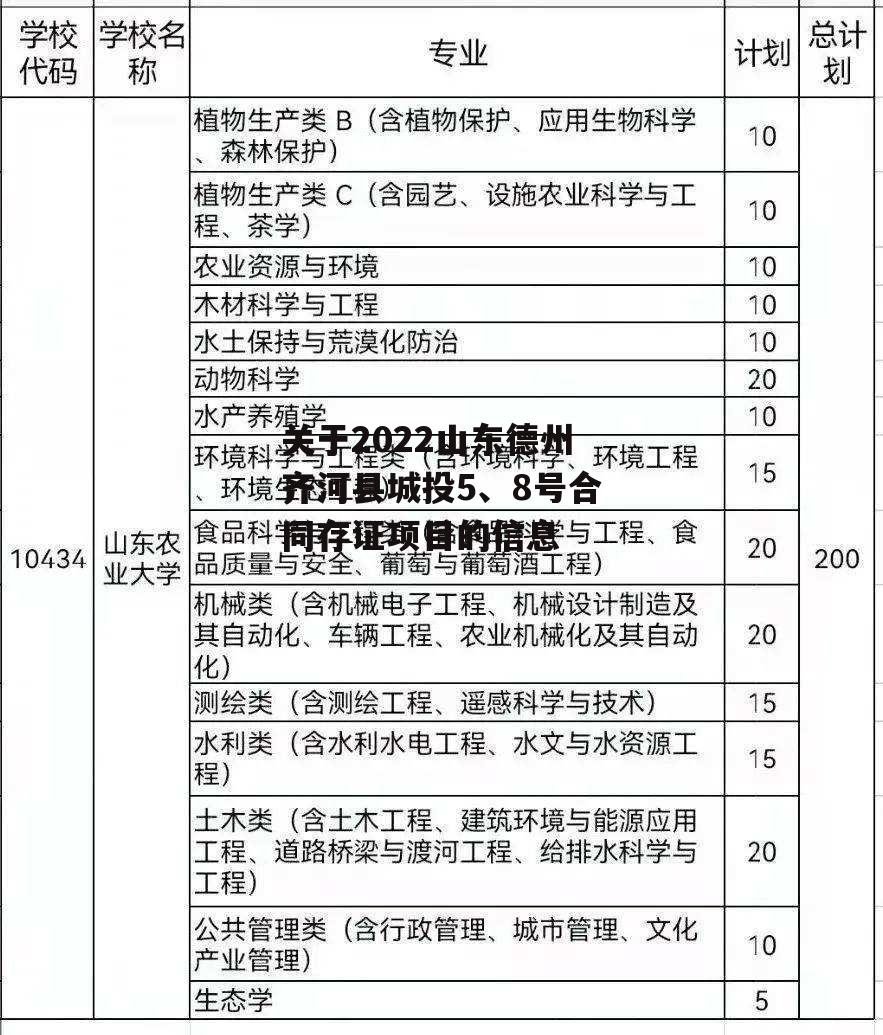 关于2022山东德州齐河县城投5、8号合同存证项目的信息