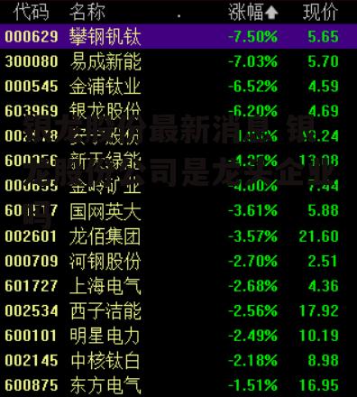 银龙股份最新消息 银龙股份公司是龙头企业吗