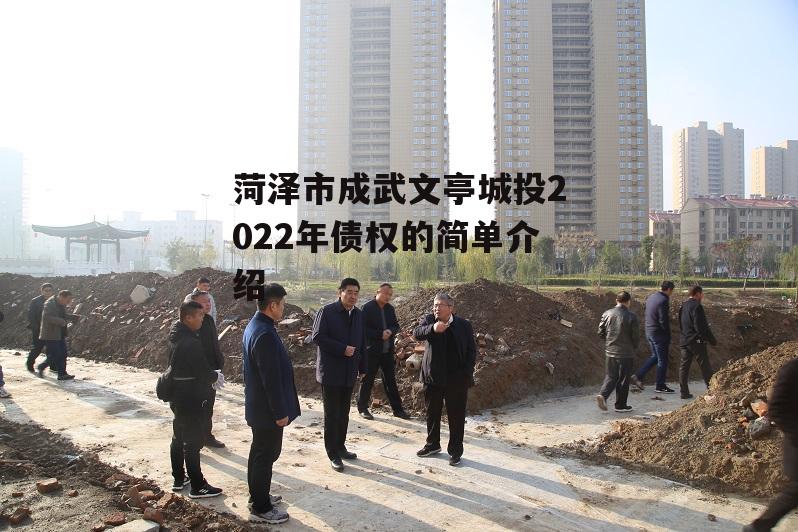 菏泽市成武文亭城投2022年债权的简单介绍