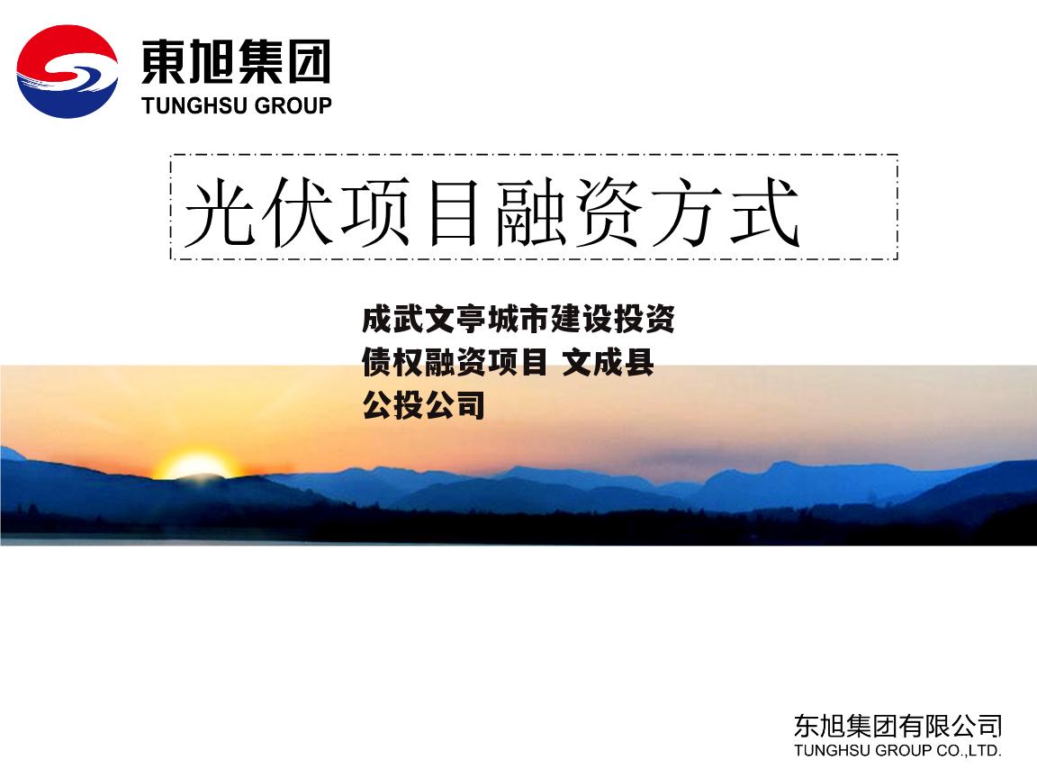 成武文亭城市建设投资债权融资项目 文成县公投公司