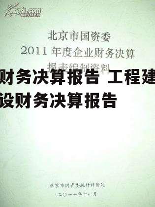 财务决算报告 工程建设财务决算报告