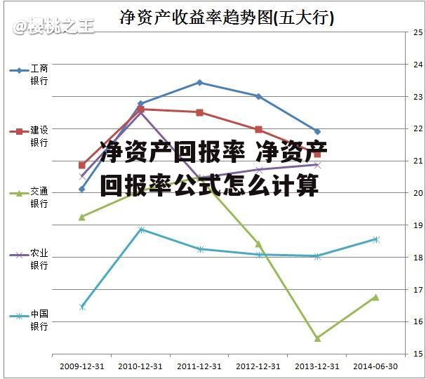 净资产回报率 净资产回报率公式怎么计算