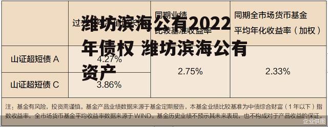 潍坊滨海公有2022年债权 潍坊滨海公有资产