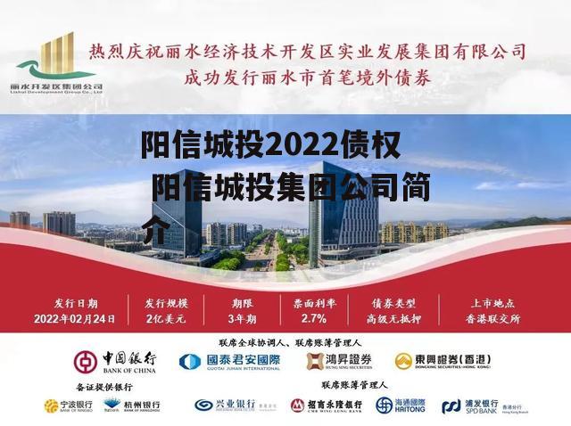 阳信城投2022债权 阳信城投集团公司简介