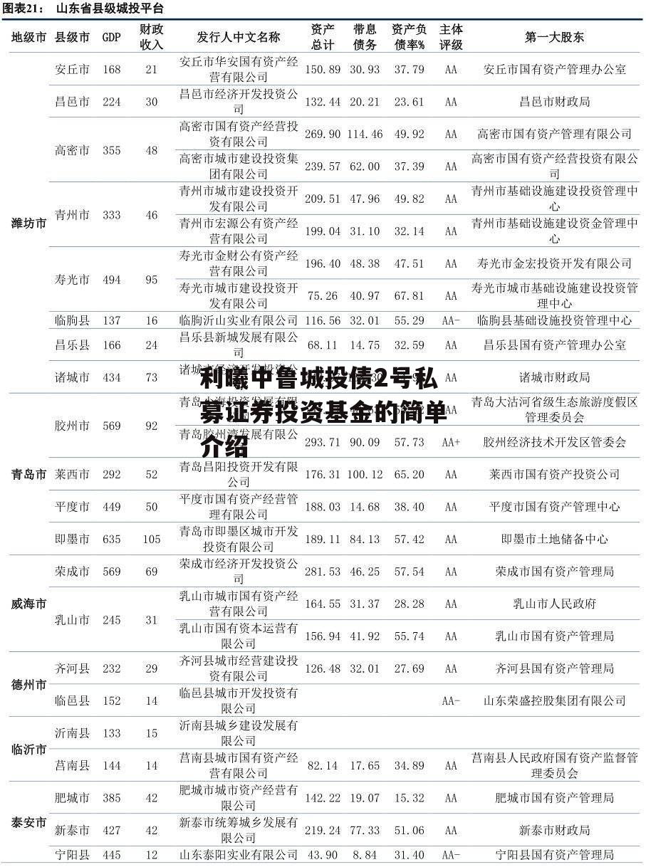 利曦中鲁城投债2号私募证券投资基金的简单介绍