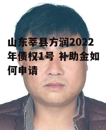 山东莘县方润2022年债权1号 补助金如何申请