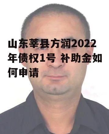 山东莘县方润2022年债权1号 补助金如何申请