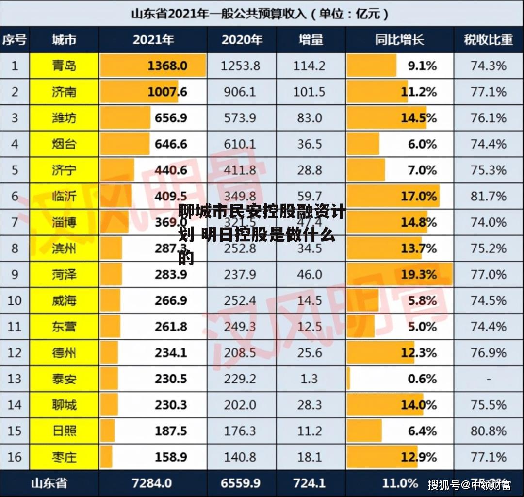 聊城市民安控股融资计划 明日控股是做什么的