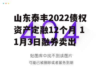 山东泰丰2022债权资产定融12个月 11月3日融券卖出