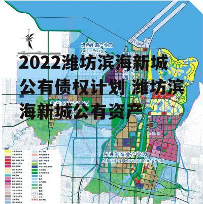 2022潍坊滨海新城公有债权计划 潍坊滨海新城公有资产