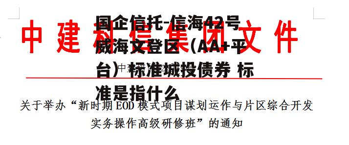 国企信托-信海42号威海文登区（AA+平台）标准城投债券 标准是指什么