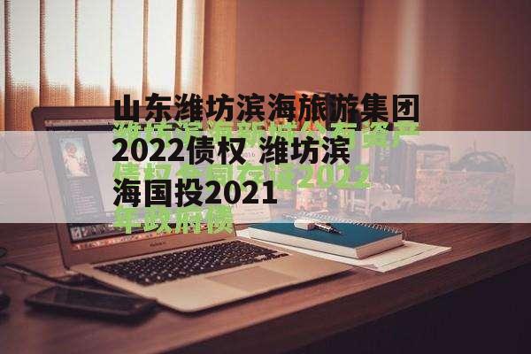 山东潍坊滨海旅游集团2022债权 潍坊滨海国投2021