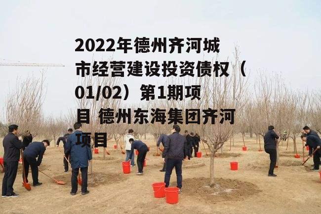 2022年德州齐河城市经营建设投资债权（01/02）第1期项目 德州东海集团齐河项目