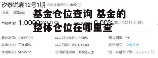 基金仓位查询 基金的整体仓位在哪里查