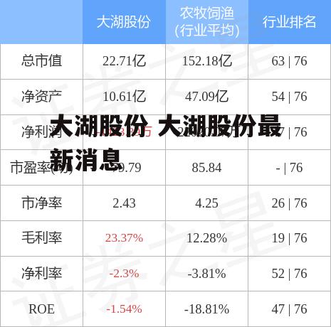 大湖股份 大湖股份最新消息