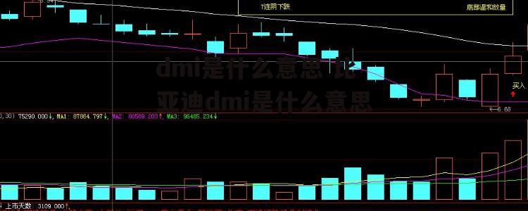 dmi是什么意思 比亚迪dmi是什么意思