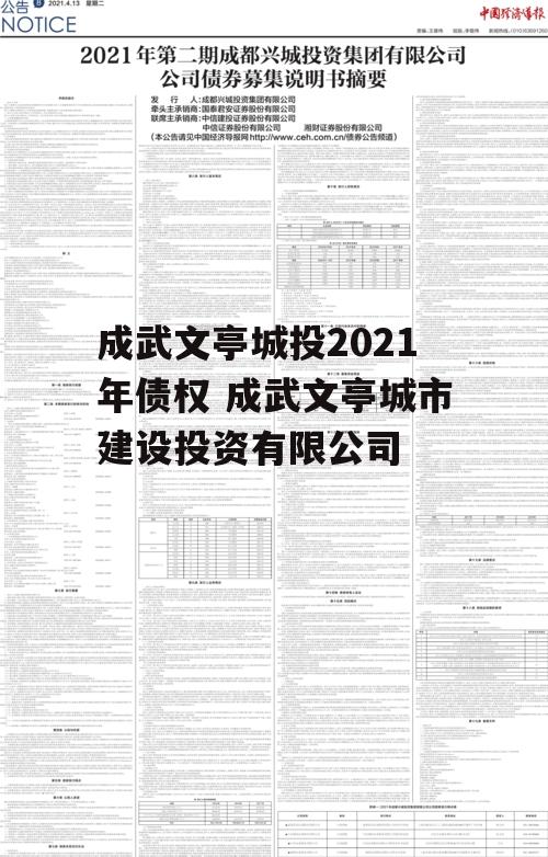 成武文亭城投2021年债权 成武文亭城市建设投资有限公司