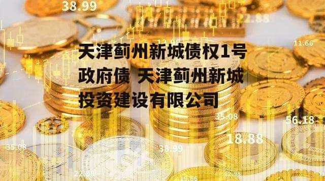 天津蓟州新城债权1号政府债 天津蓟州新城投资建设有限公司