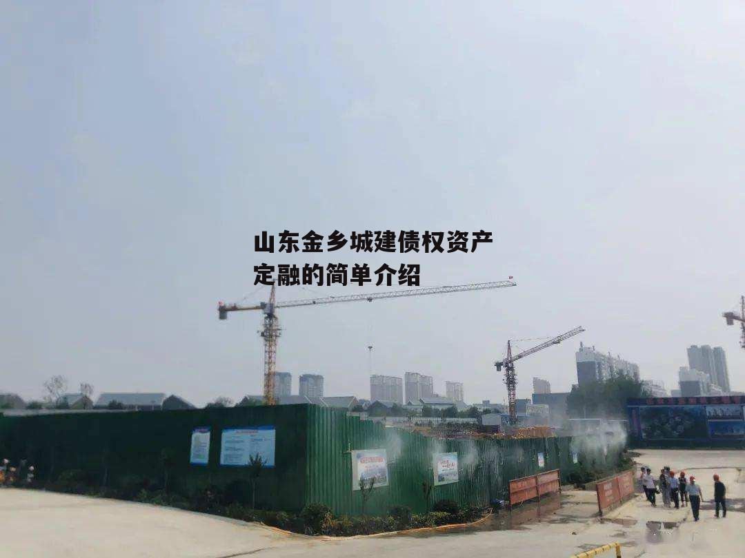 山东金乡城建债权资产定融的简单介绍