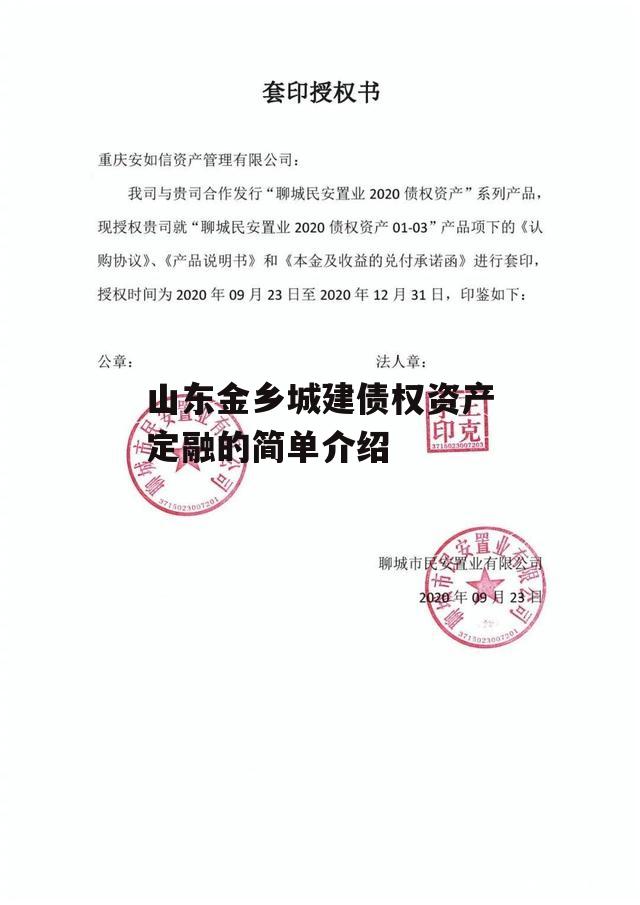 山东金乡城建债权资产定融的简单介绍