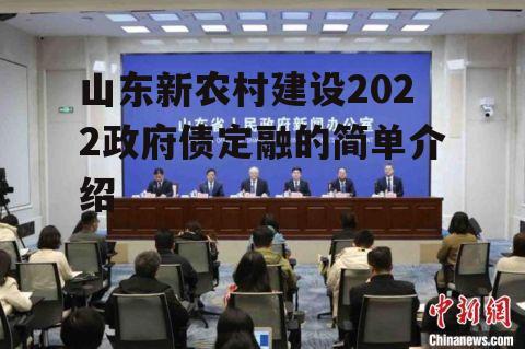 山东新农村建设2022政府债定融的简单介绍