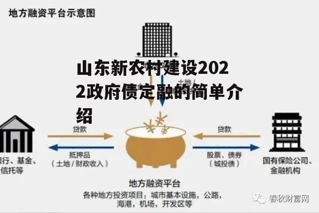 山东新农村建设2022政府债定融的简单介绍