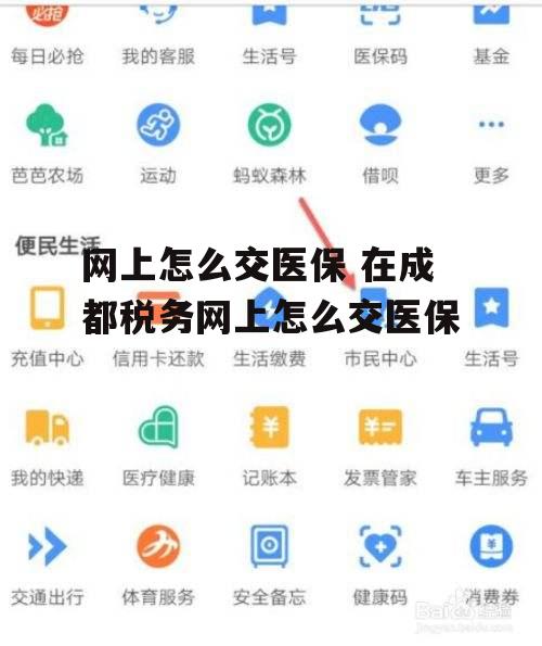 网上怎么交医保 在成都税务网上怎么交医保