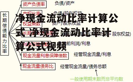 净现金流动比率计算公式 净现金流动比率计算公式视频